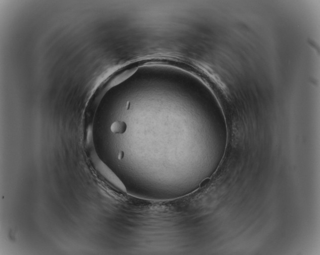 X0000091711316200708311107