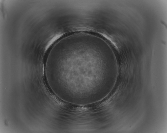 X0000091711317200708311107