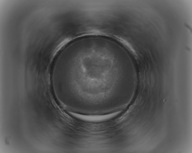 X0000091711318200708311107