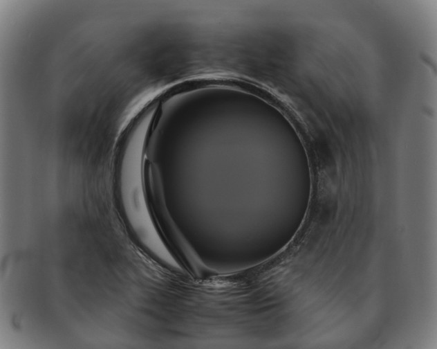 X0000091711319200708311107