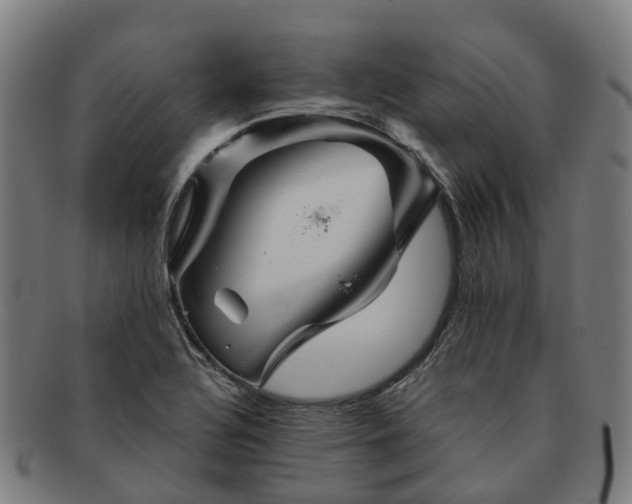 X0000091711320200708311107