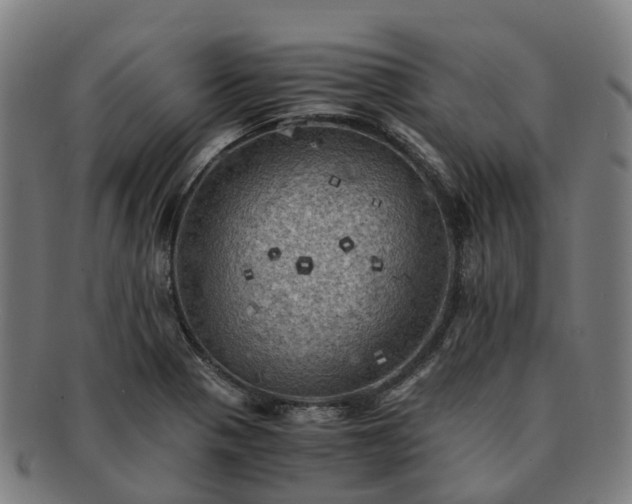 X0000091711321200708311107