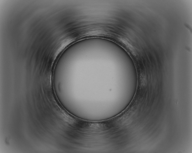 X0000091711322200708311107