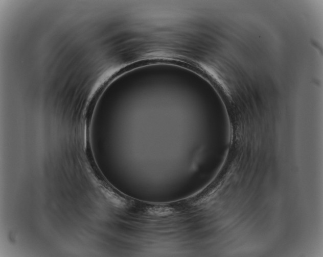 X0000091711323200708311107