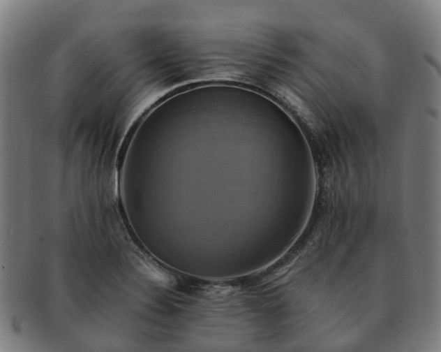 X0000091711324200708311107