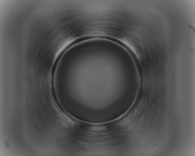 X0000091711325200708311107