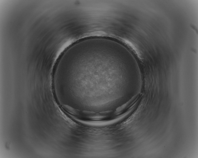 X0000091711326200708311107