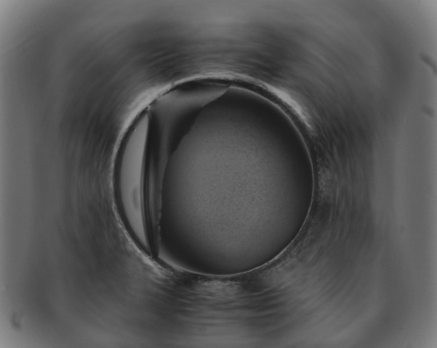 X0000091711327200708311107