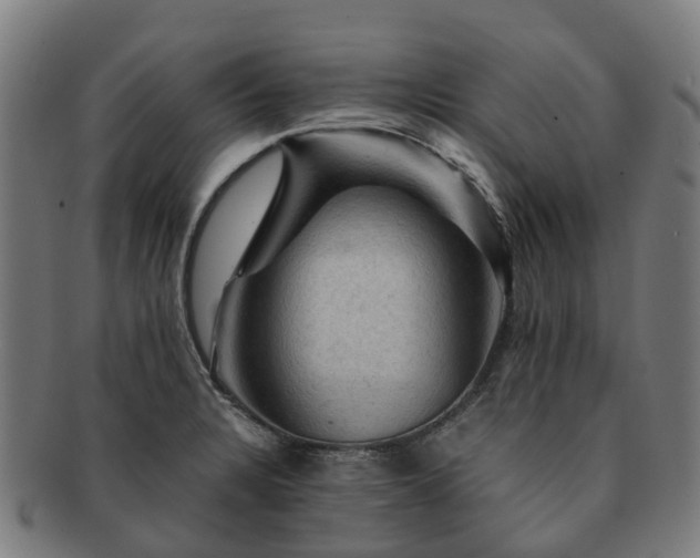 X0000091711328200708311107