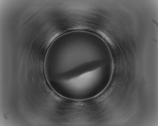 X0000091711329200708311107