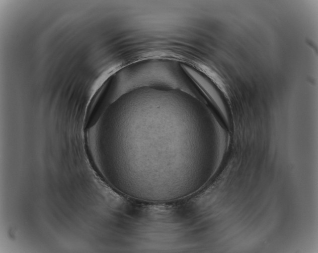 X0000091711330200708311107