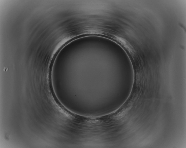 X0000091711331200708311107