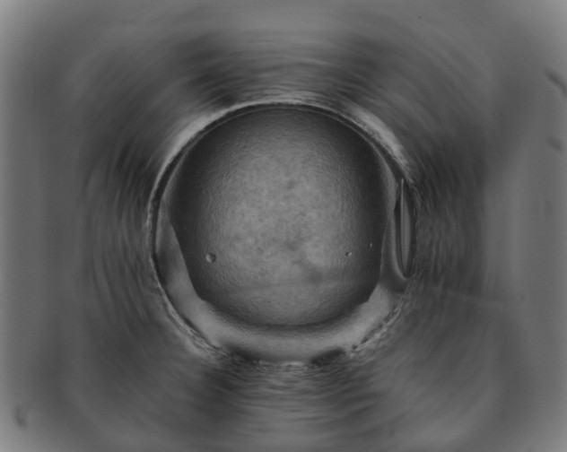 X0000091711332200708311107