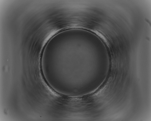 X0000091711333200708311107