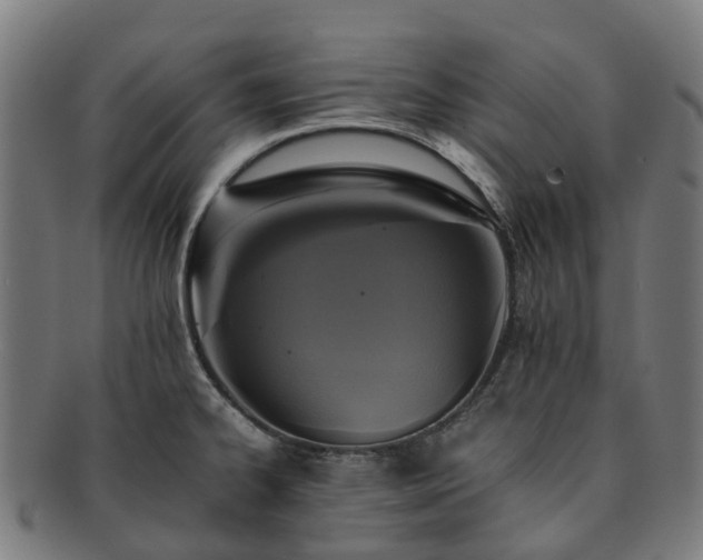 X0000091711334200708311107