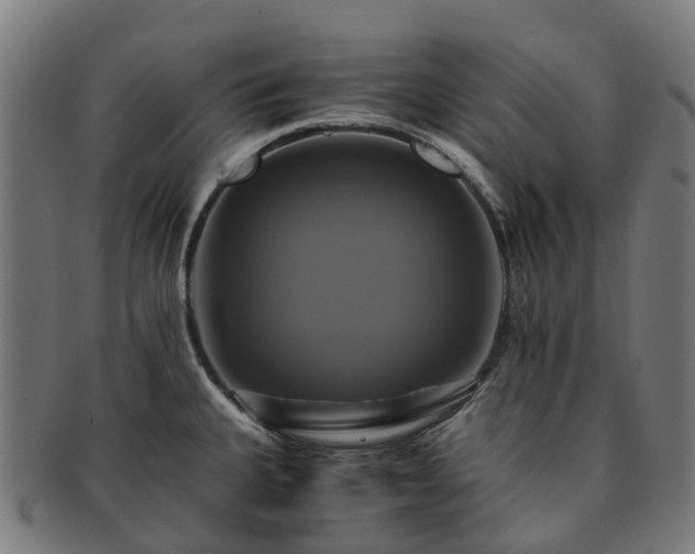 X0000091711335200708311107