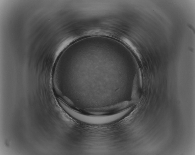 X0000091711336200708311107