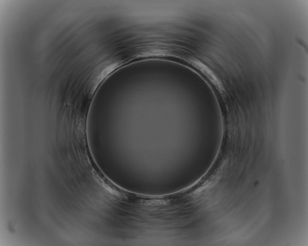 X0000091711337200708311107