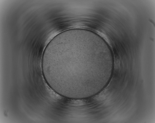 X0000091711338200708311107