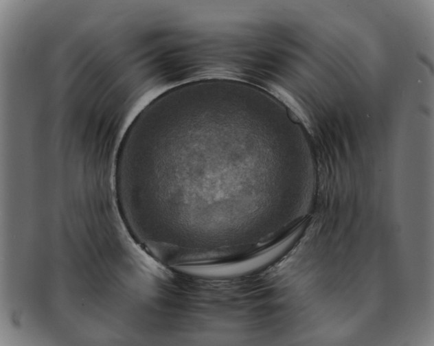 X0000091711339200708311107