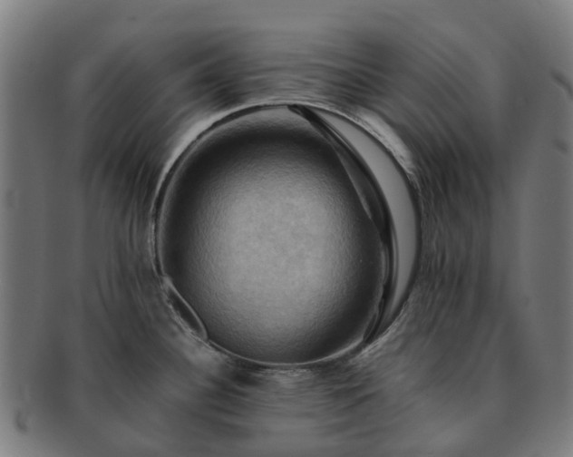 X0000091711340200708311107