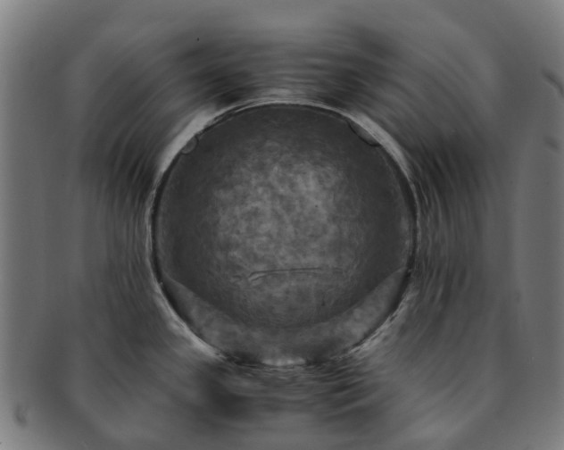 X0000091711341200708311107