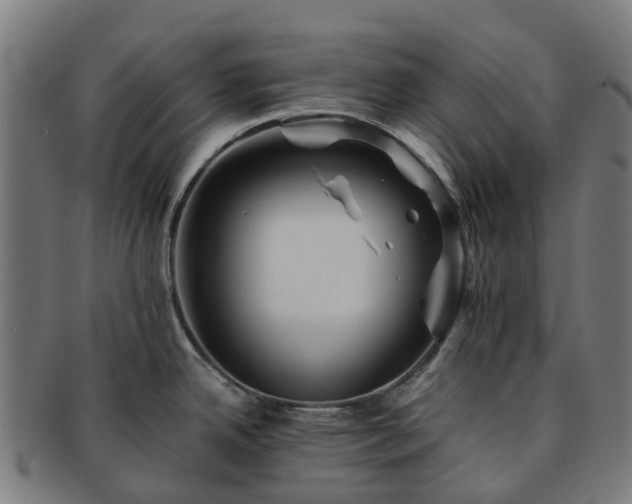 X0000091711342200708311107