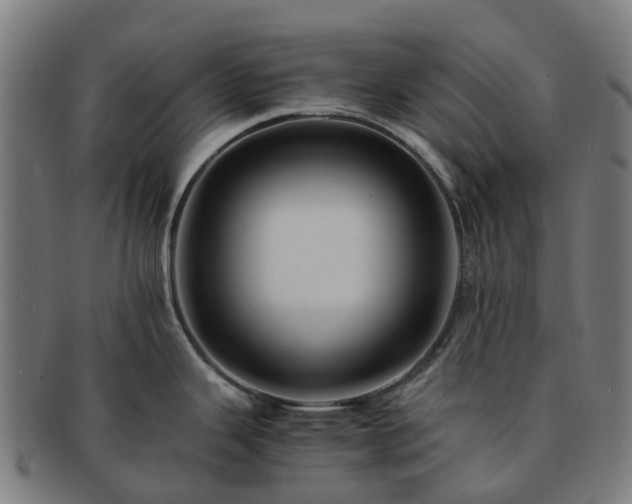 X0000091711343200708311107