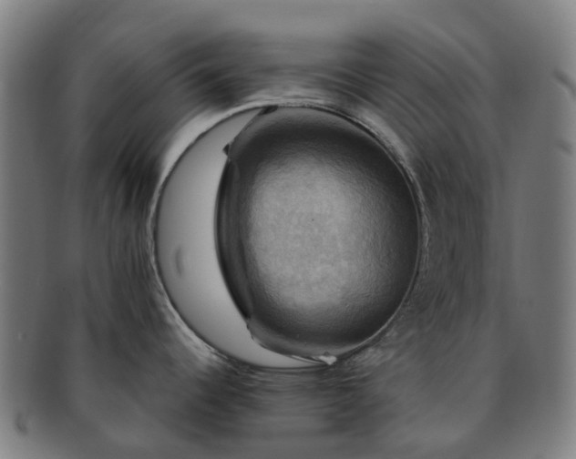 X0000091711344200708311107