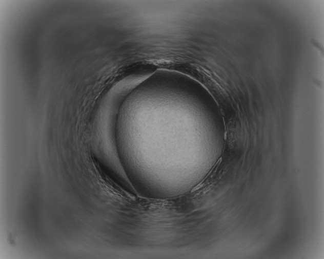 X0000091711345200708311106