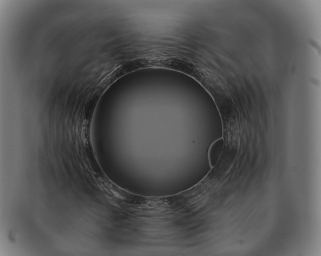 X0000091711346200708311106