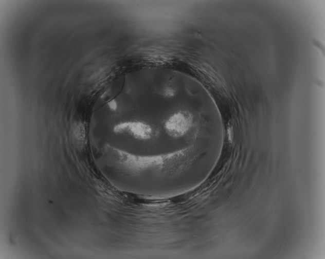 X0000091711347200708311106