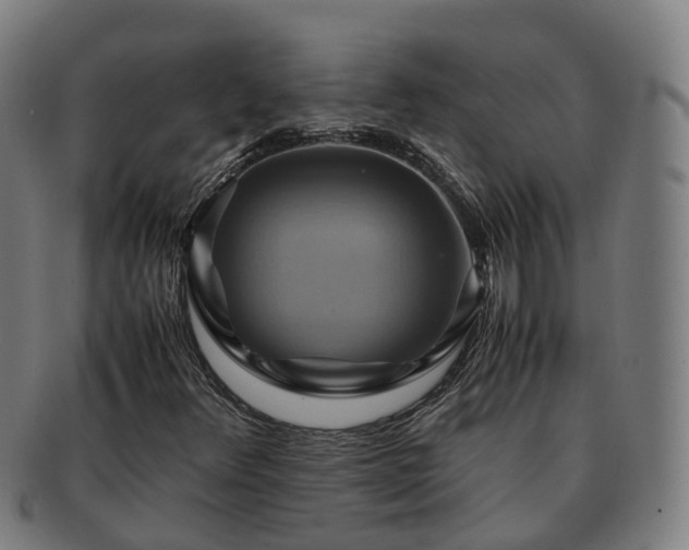 X0000091711348200708311106