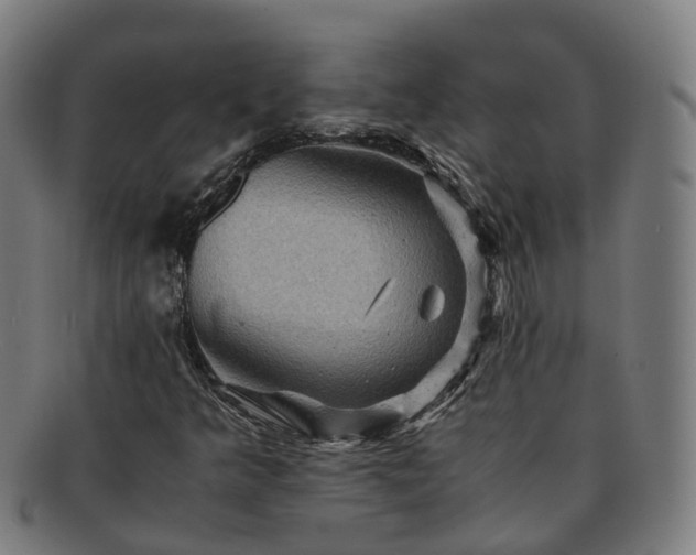 X0000091711349200708311106