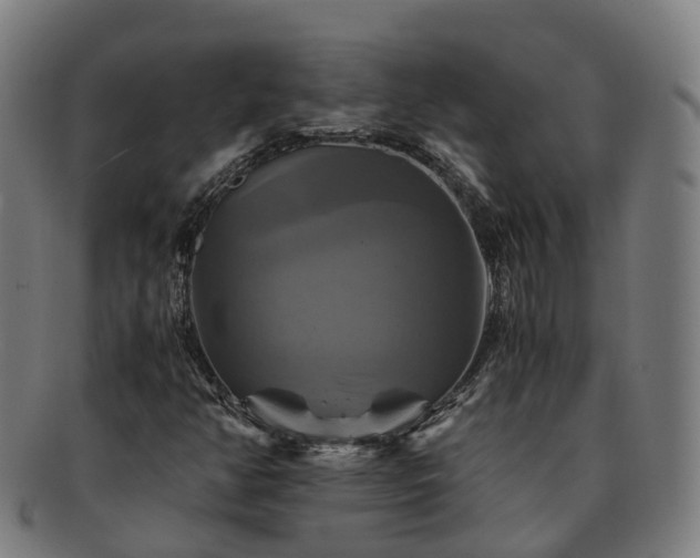 X0000091711350200708311106