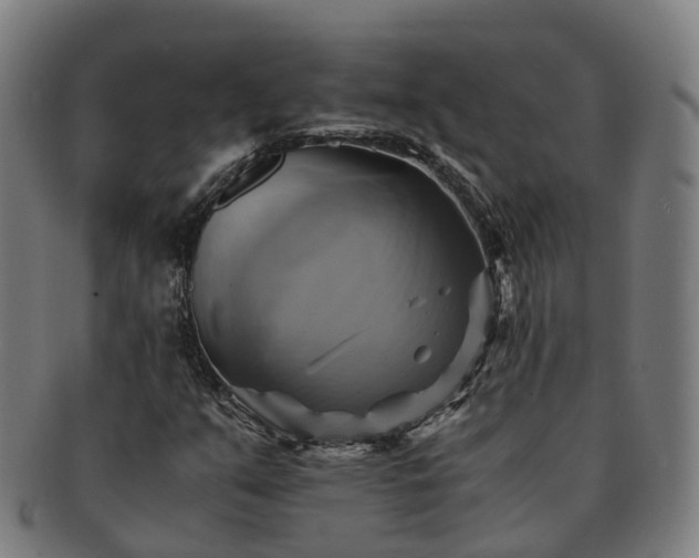 X0000091711351200708311106