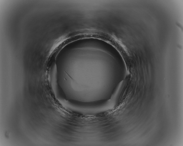 X0000091711352200708311106