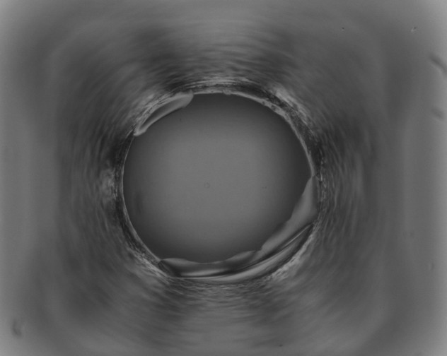 X0000091711353200708311106