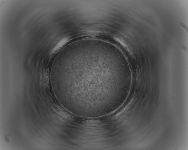 X0000091711354200708311106