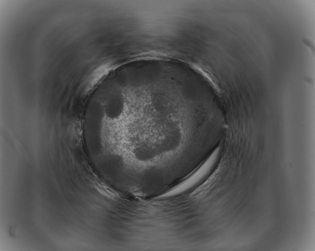 X0000091711355200708311106