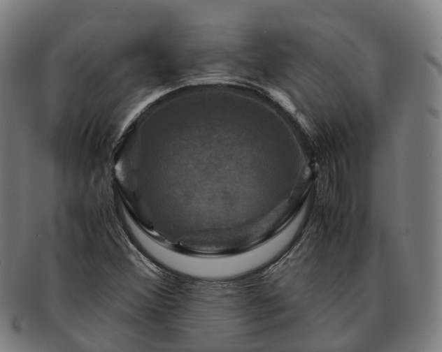 X0000091711356200708311106