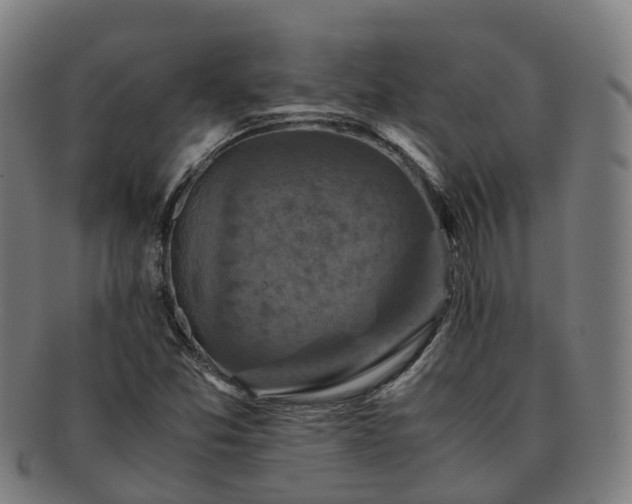 X0000091711357200708311106