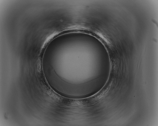 X0000091711358200708311106