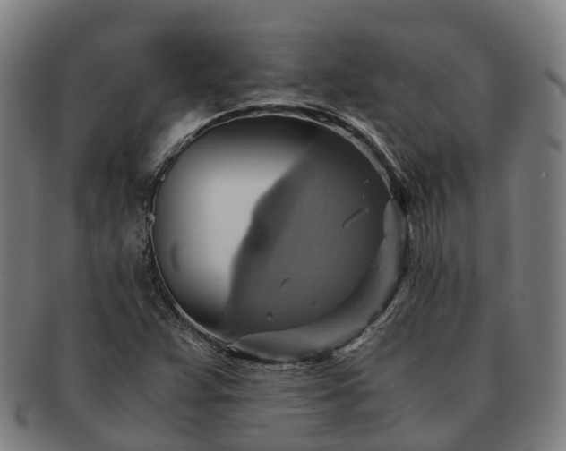 X0000091711359200708311106