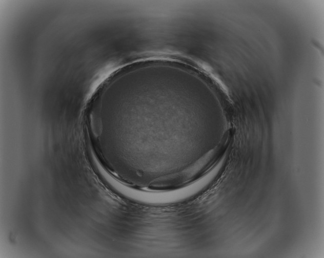 X0000091711360200708311106