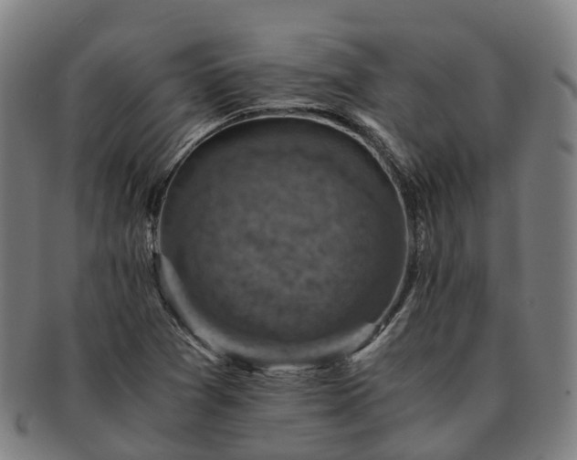 X0000091711361200708311106