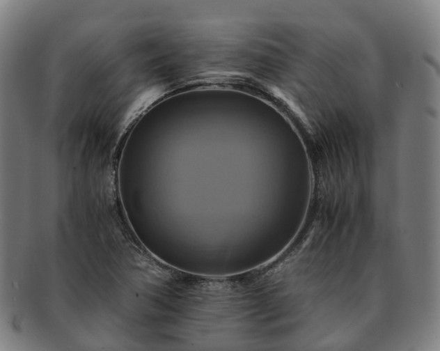 X0000091711362200708311106