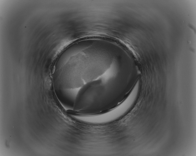 X0000091711363200708311106