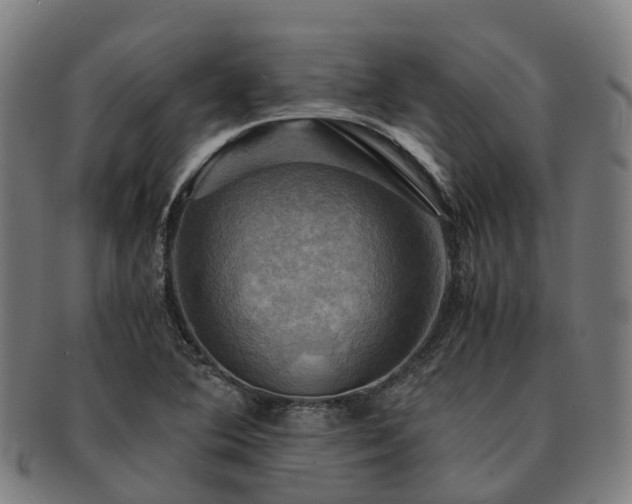 X0000091711364200708311106