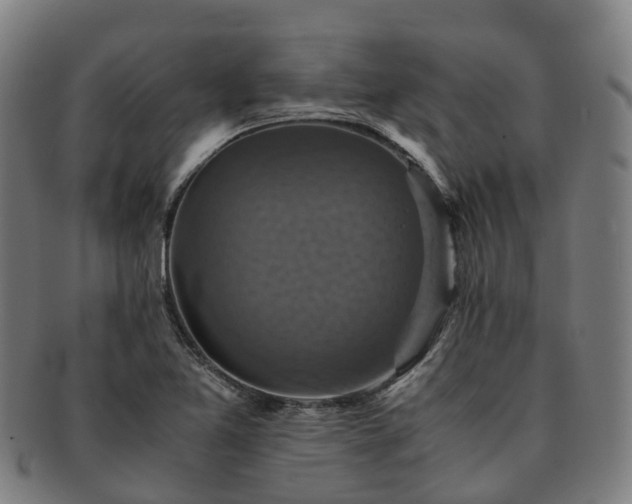 X0000091711365200708311106